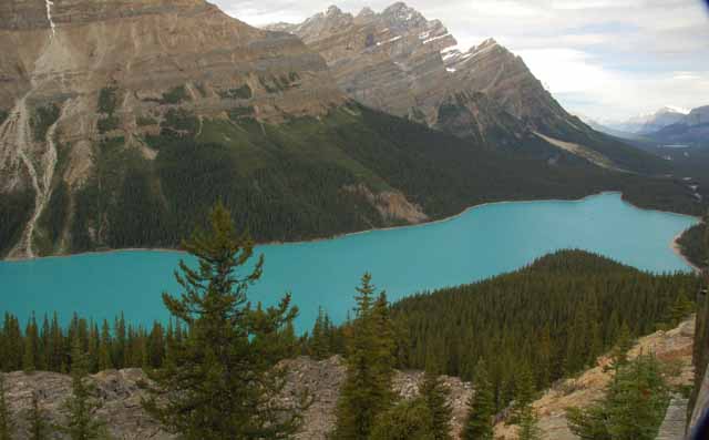Peyto Lake